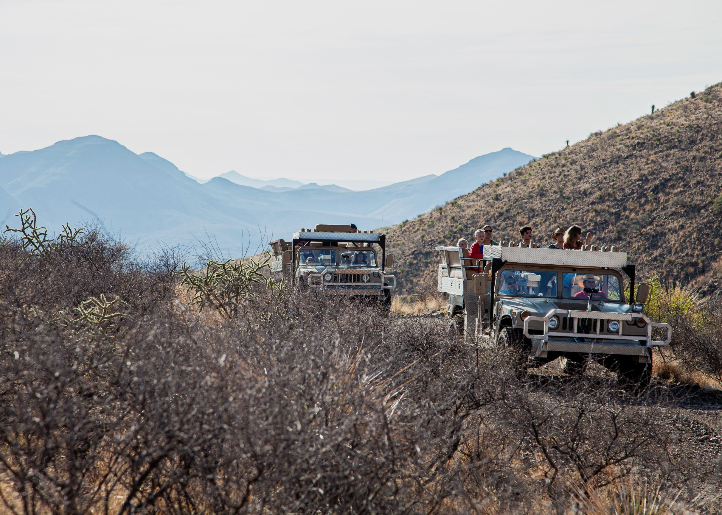 Cibolo Creek Ranch